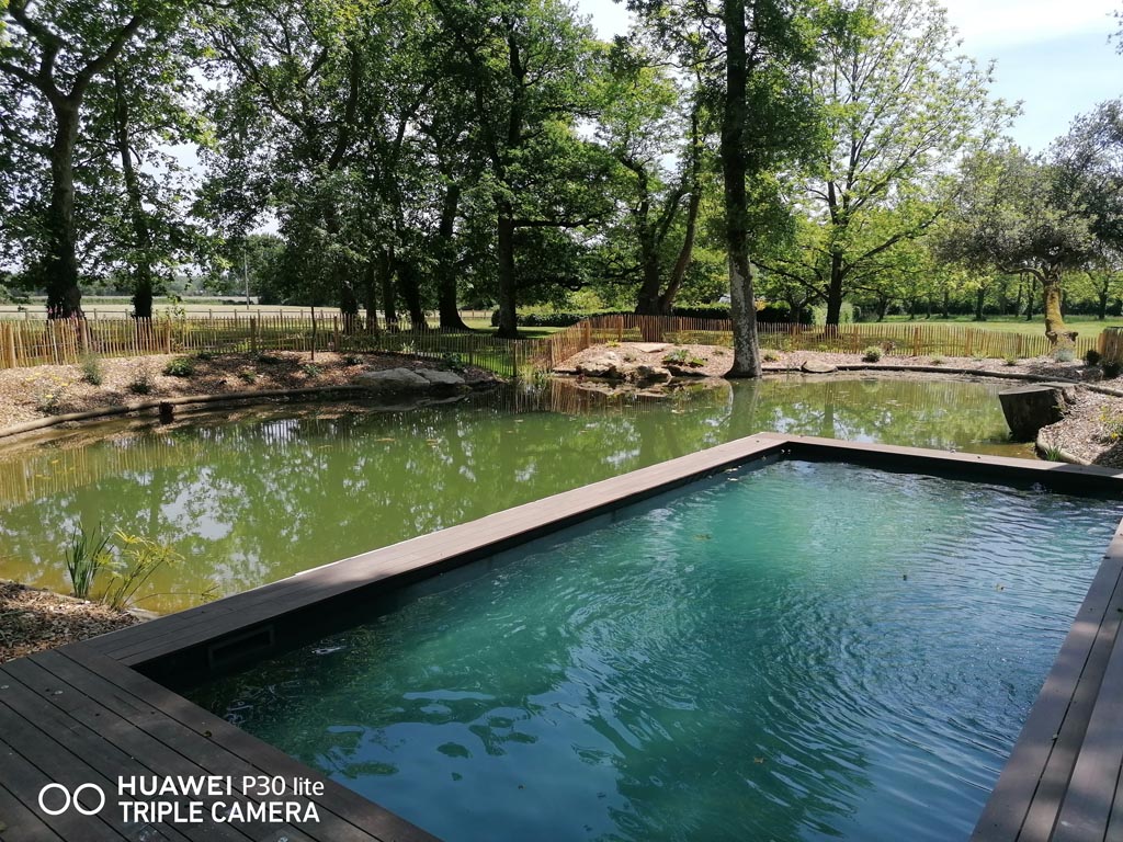 Zone de baignade d'une piscine naturelle en Vendée
