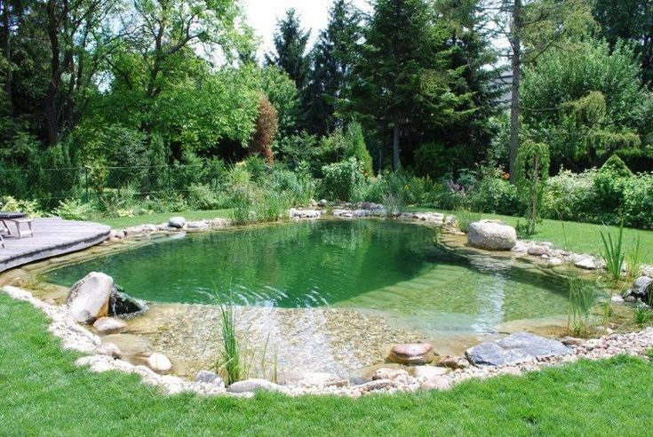 Zone de lagunage et plantes épuratrices d'un bassin de baignade naturel
